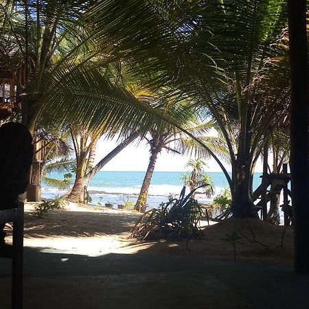 The Alpha Monkey Hotel & Tree House Tangalle Exterior foto