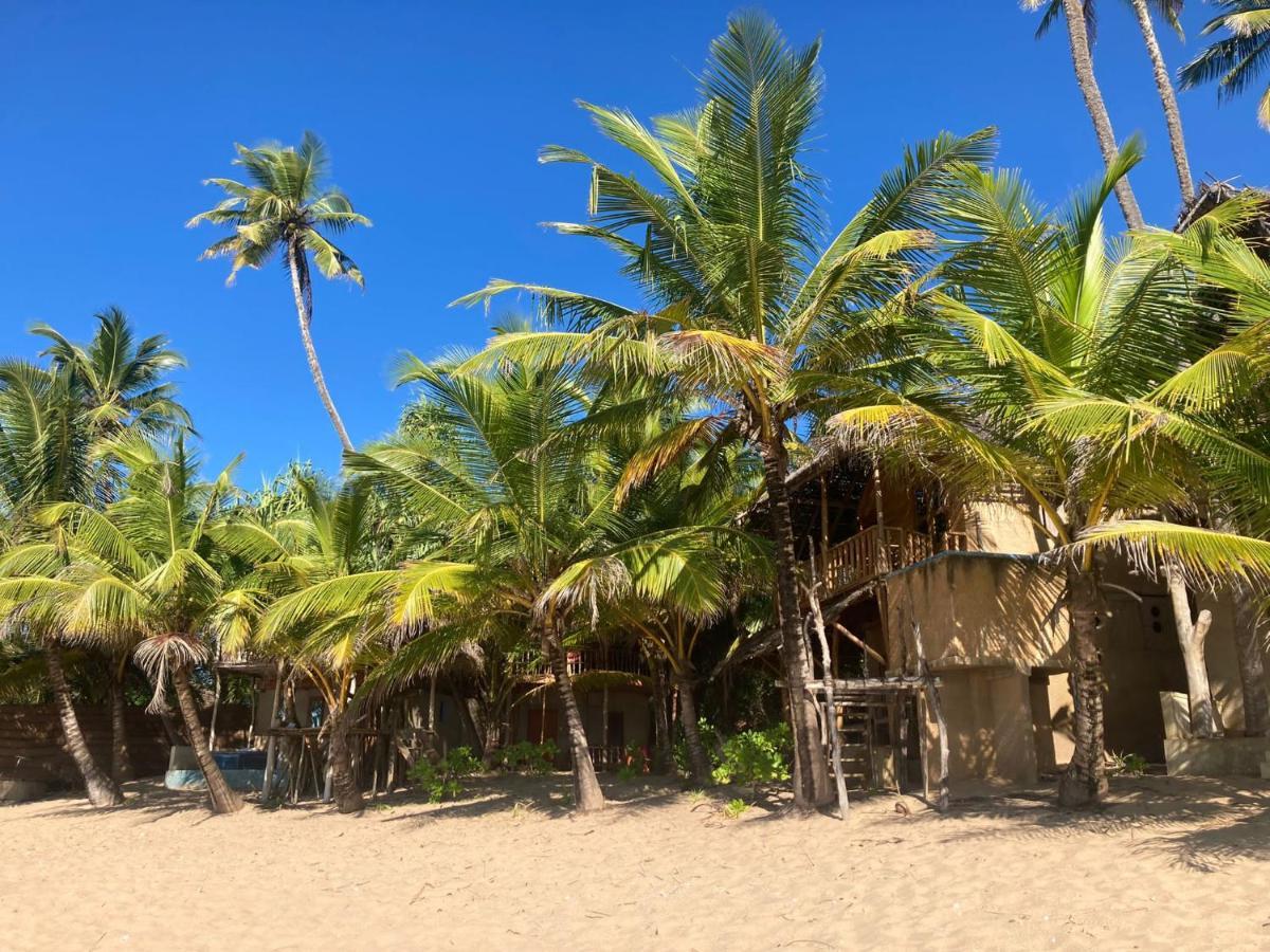 The Alpha Monkey Hotel & Tree House Tangalle Exterior foto