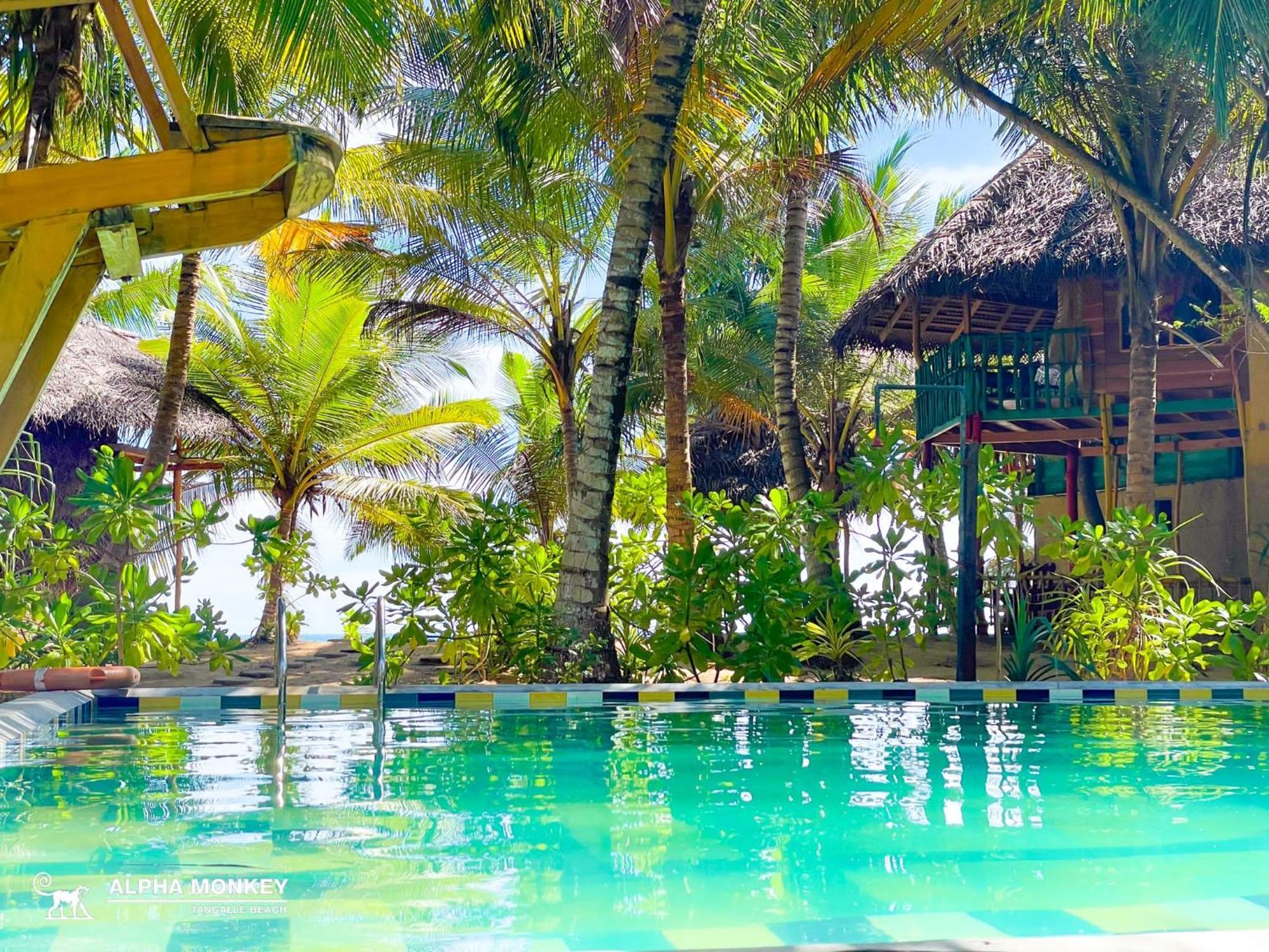 The Alpha Monkey Hotel & Tree House Tangalle Exterior foto
