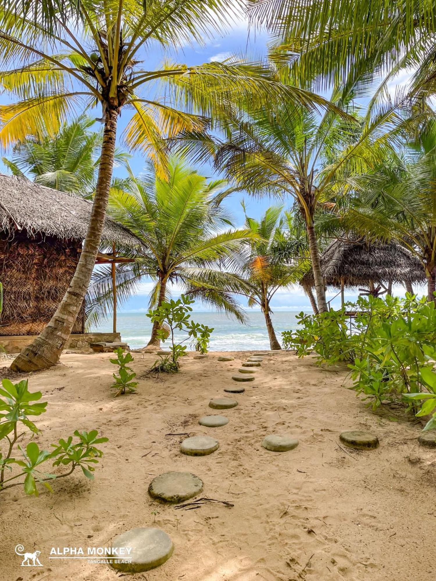 The Alpha Monkey Hotel & Tree House Tangalle Exterior foto