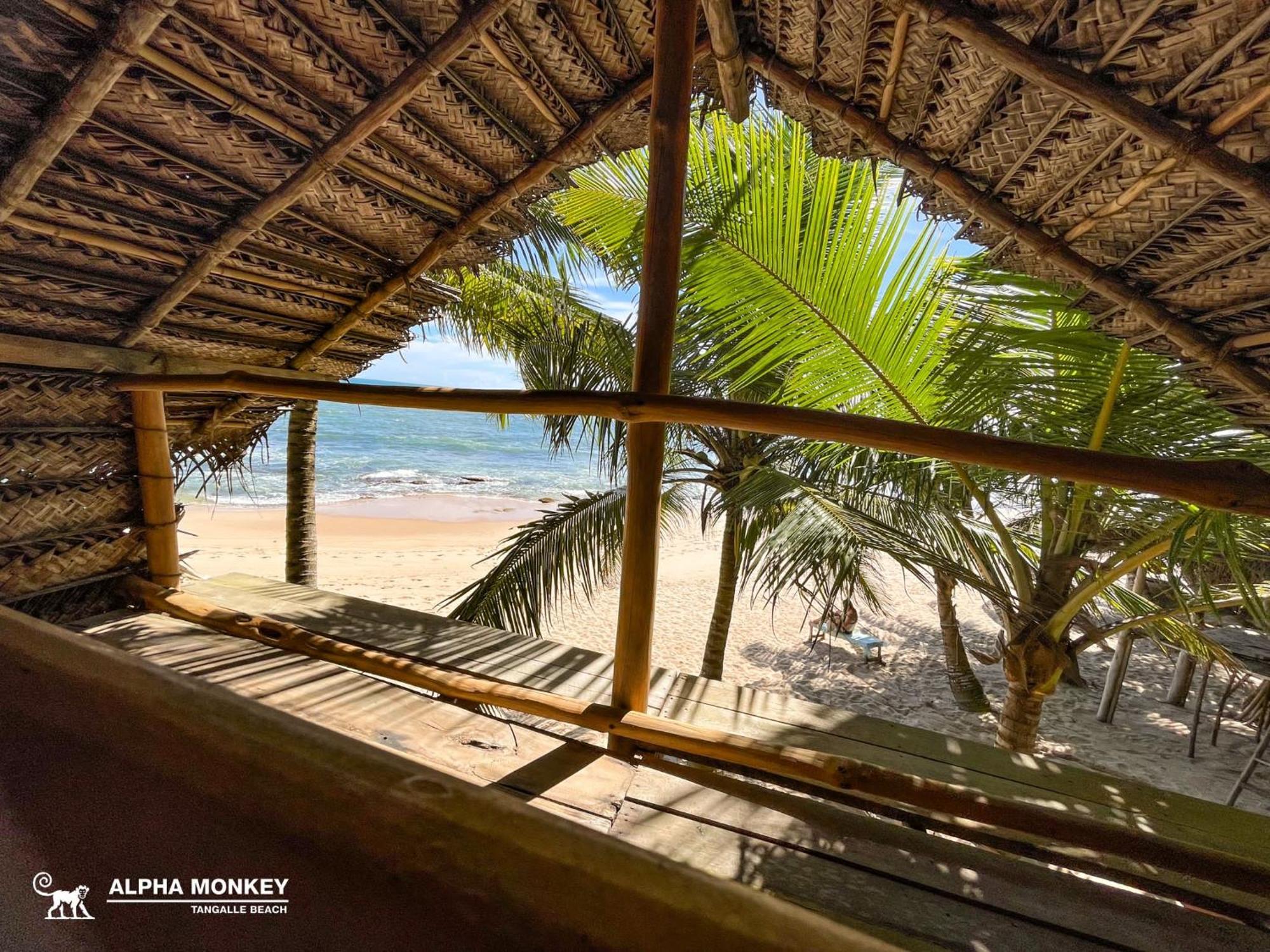 The Alpha Monkey Hotel & Tree House Tangalle Exterior foto