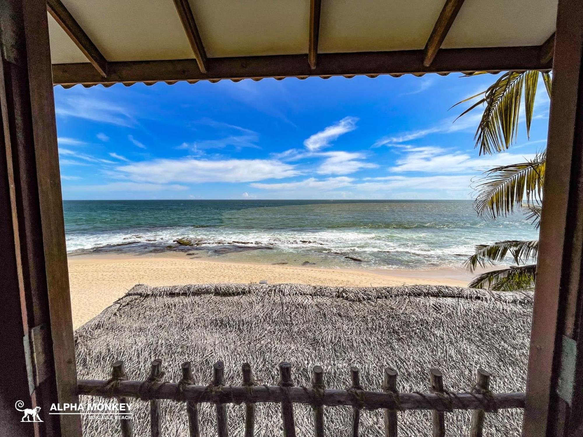 The Alpha Monkey Hotel & Tree House Tangalle Quarto foto