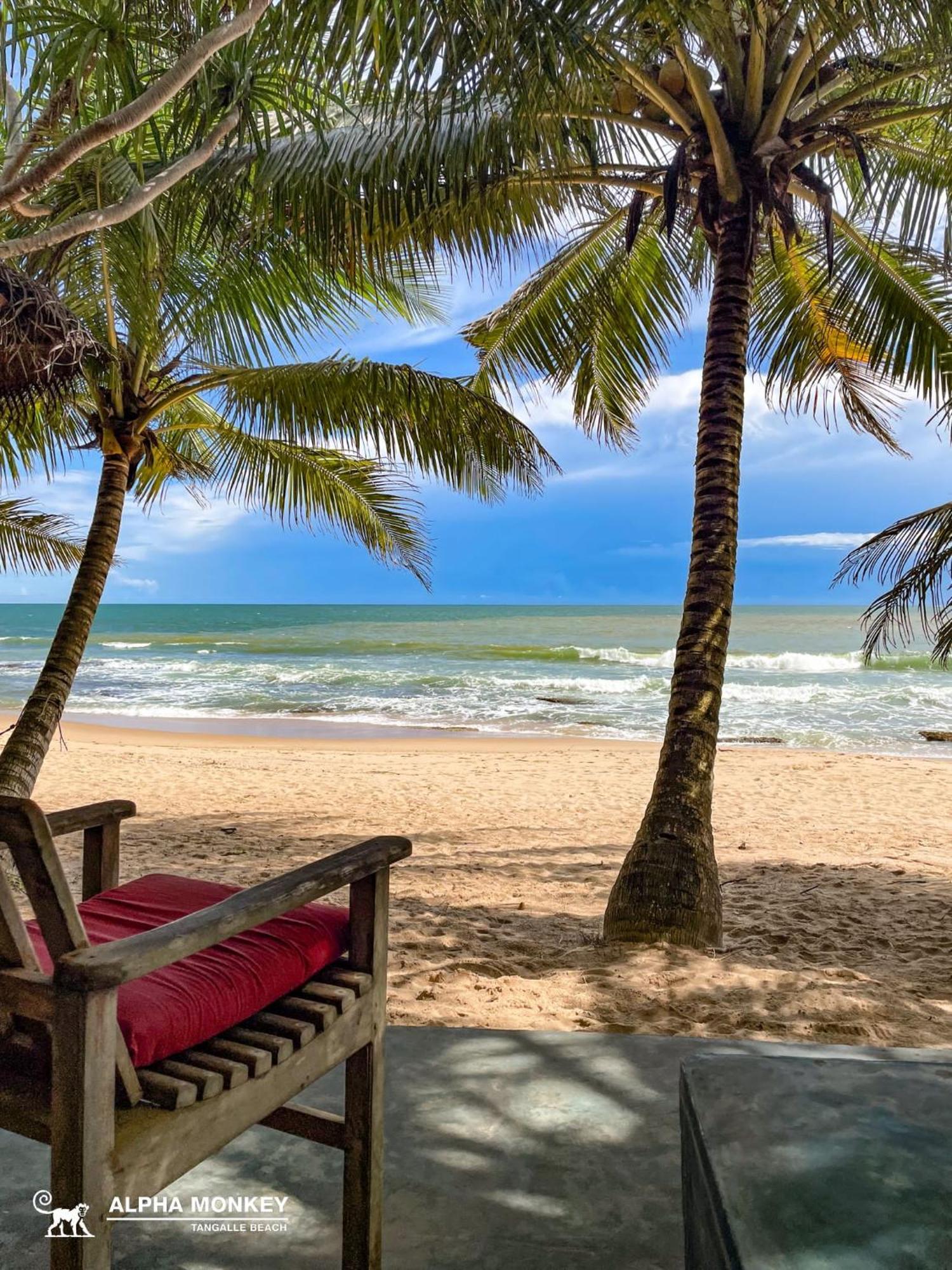 The Alpha Monkey Hotel & Tree House Tangalle Quarto foto