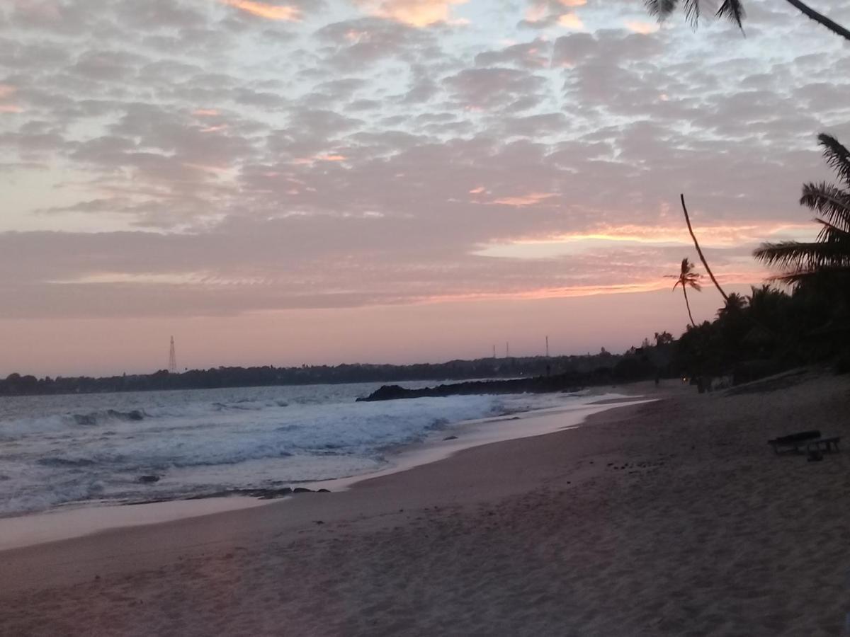 The Alpha Monkey Hotel & Tree House Tangalle Exterior foto