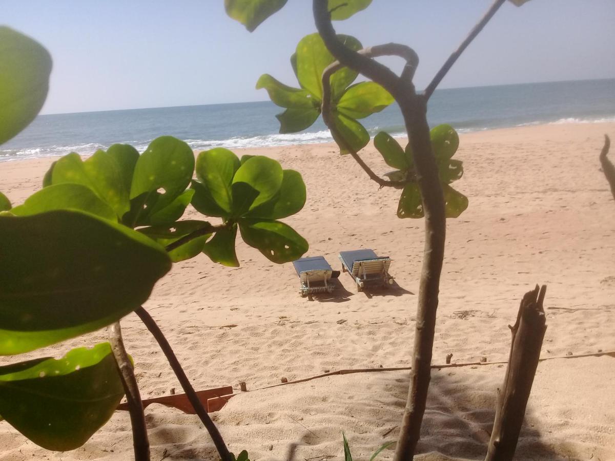The Alpha Monkey Hotel & Tree House Tangalle Exterior foto